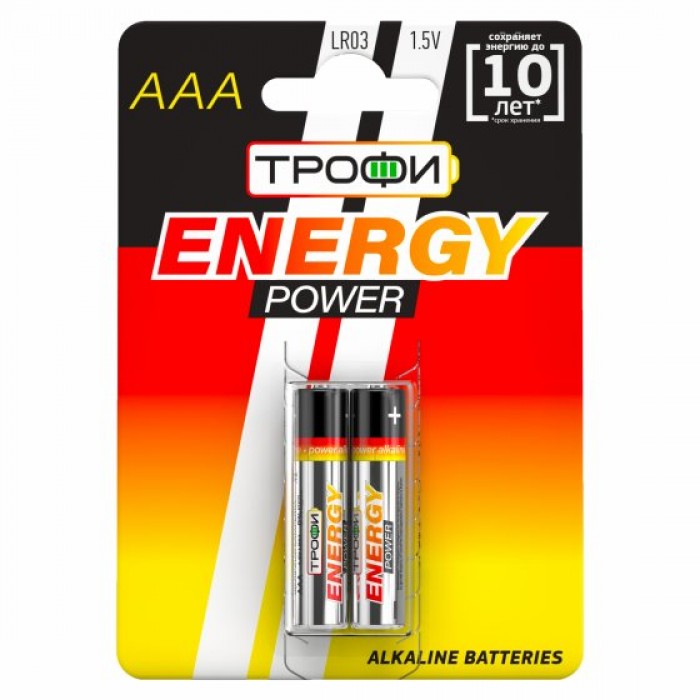 Батарейки ТРОФИ Energy Pover LR03-2BL (40/480)