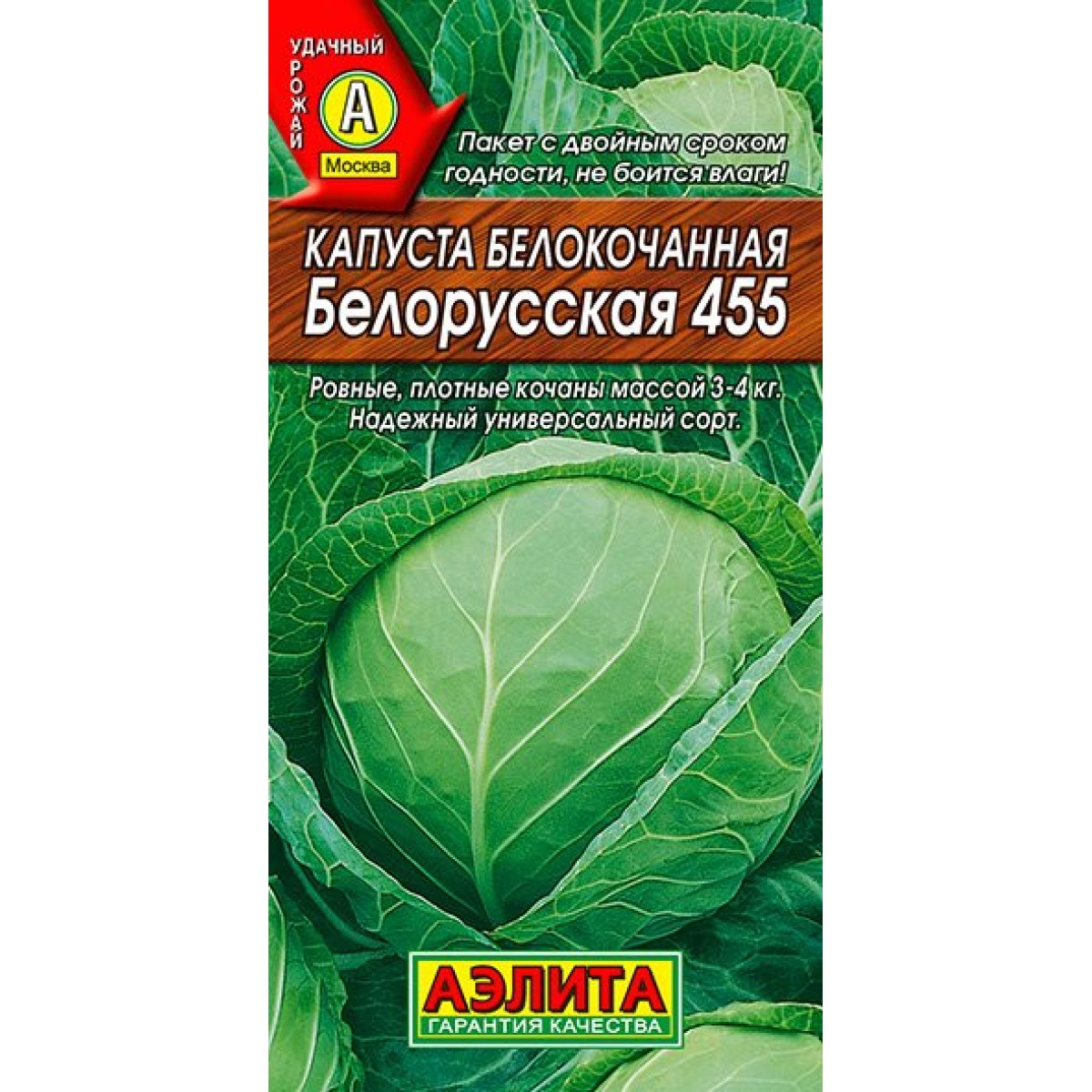 фото капусты белорусская