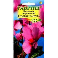 Цикламен персидский Розовая пантера Ц/П 3шт