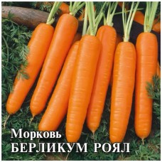 Морковь Берликум роял Ц/П 25г