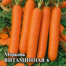 Морковь Витаминная 6 Ц/П 100г