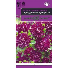 Астра Трубадур темно-пурпурный Ц/П 0,05г
