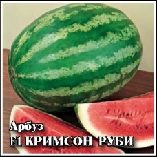 Арбуз Кримсон руби F1 Ц/П 50шт