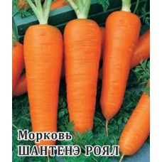 Морковь Шантенэ роял Ц/П 100г