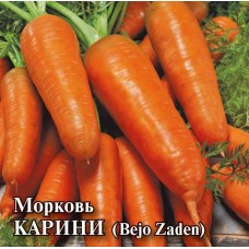 Морковь Карини Ц/П 10г