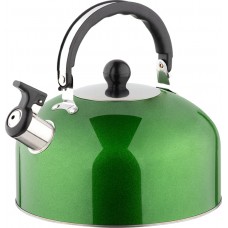 Чайник Casual нержавеющая сталь зеленый 2,7л