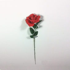 Роза одиночная бархатная раскрытая h=50см красный
