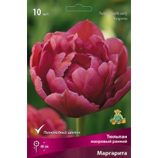 Тюльпан махровый ранний Маргарита